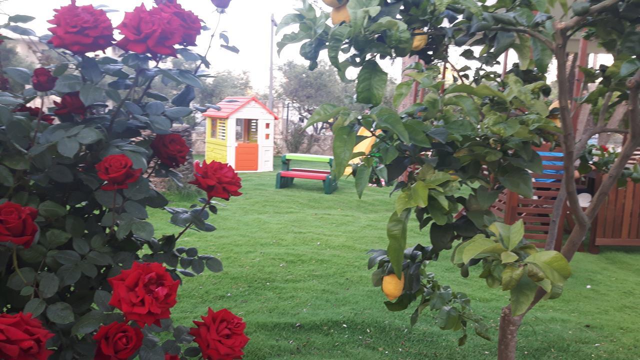 לגאנאס Alba Boutique Apartments מראה חיצוני תמונה