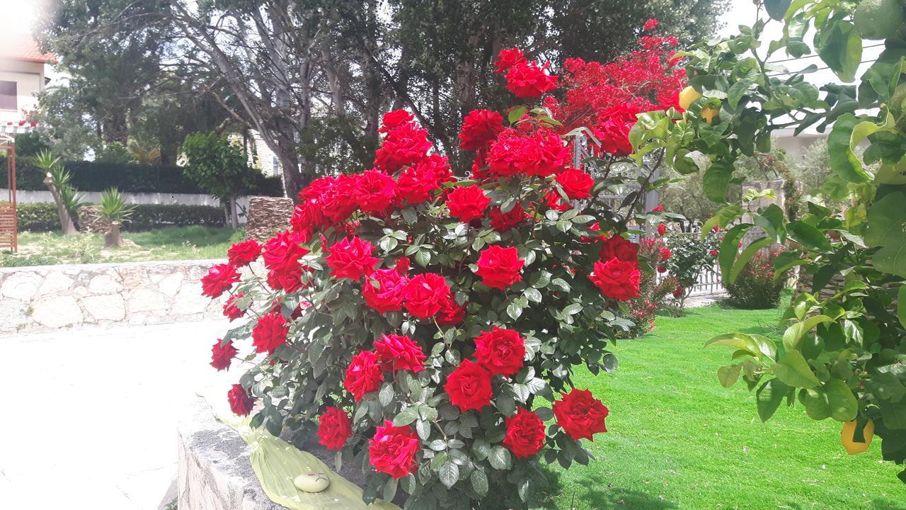 לגאנאס Alba Boutique Apartments מראה חיצוני תמונה