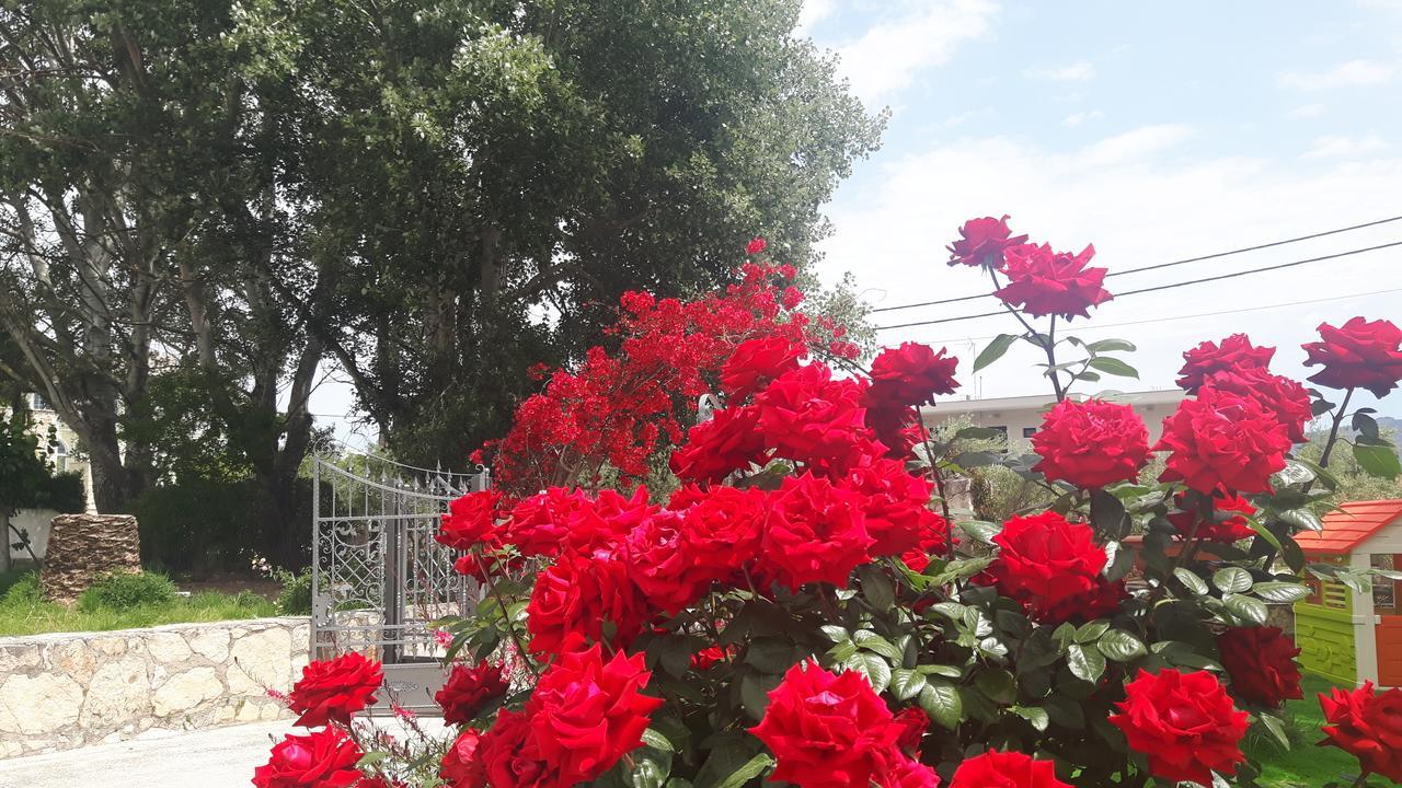 לגאנאס Alba Boutique Apartments מראה חיצוני תמונה